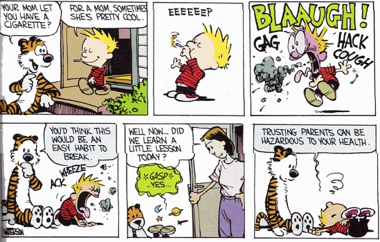 Musings - I miss Hobbes